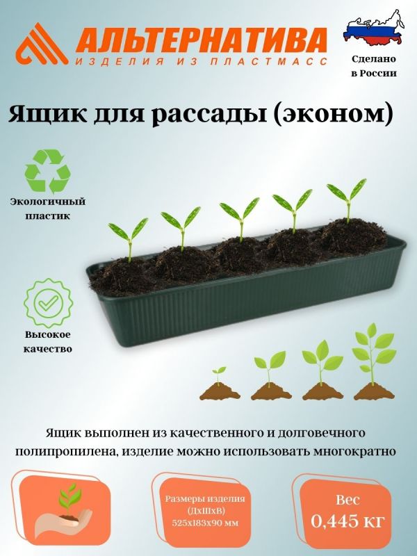 Box for seedlings 530*185*90 (economy) ?6660